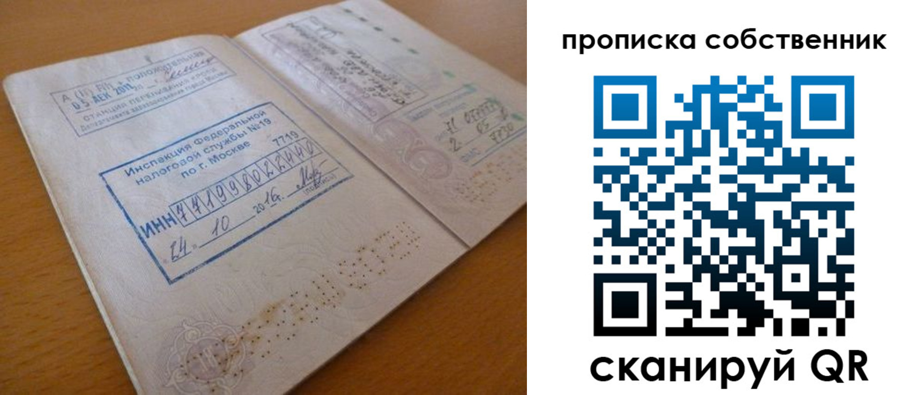 прописка для школы в Московской области
